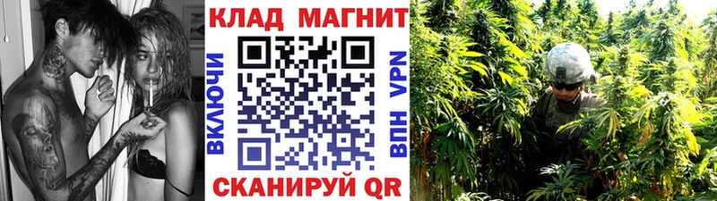Наркотические вещества Ростов-на-Дону гидра онион СК Меф мяу мяу МАРИХУАНА Псилоцибиновые грибы