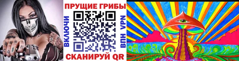 Галлюциногенные грибы мицелий купить наркотик Ростов-на-Дону